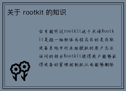 关于 rootkit 的知识 